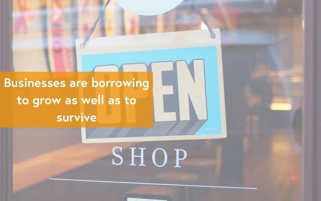 Businesses are borrowing to grow as well as to survive