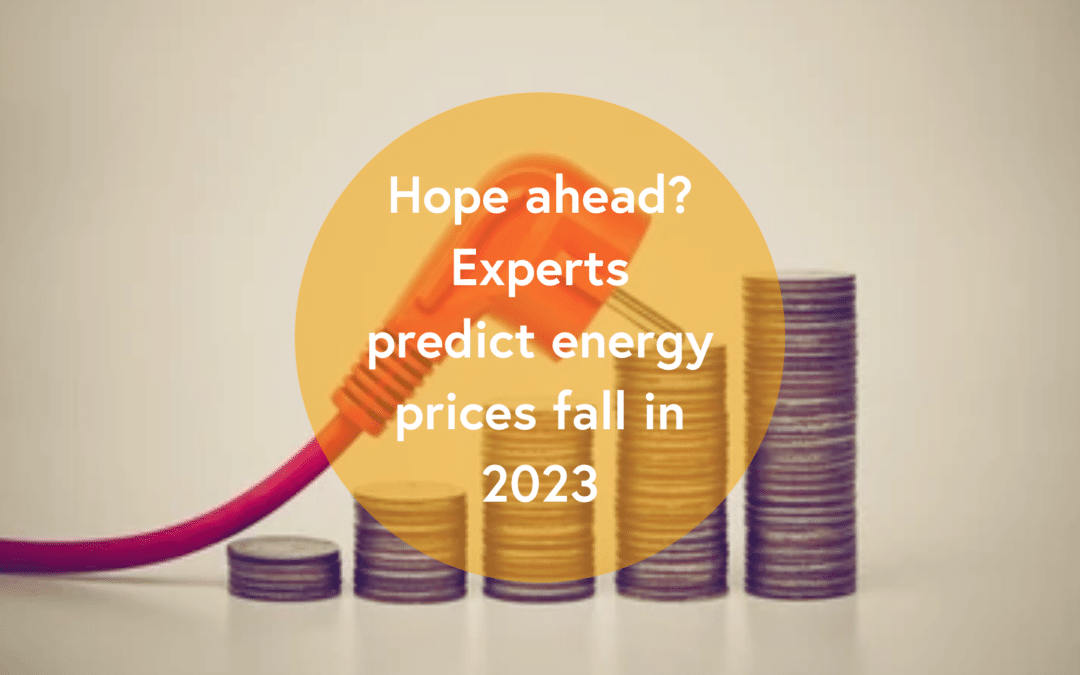 Hope ahead? Experts predict energy prices fall in 2023